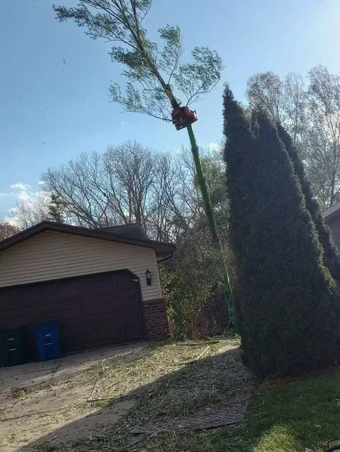 A tree being cut by a machine, near a house with a garage, on a sunny day.