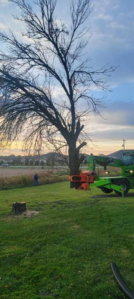 A large tree being cut down. A green machine and orange equipment are near the trunk. Grassy area with cloudy sky.