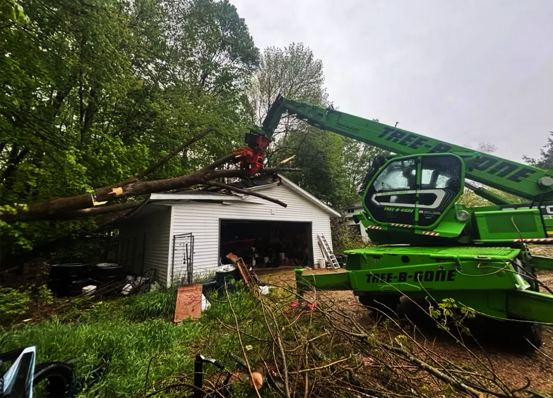 Tree-B-Gone of Green Bay