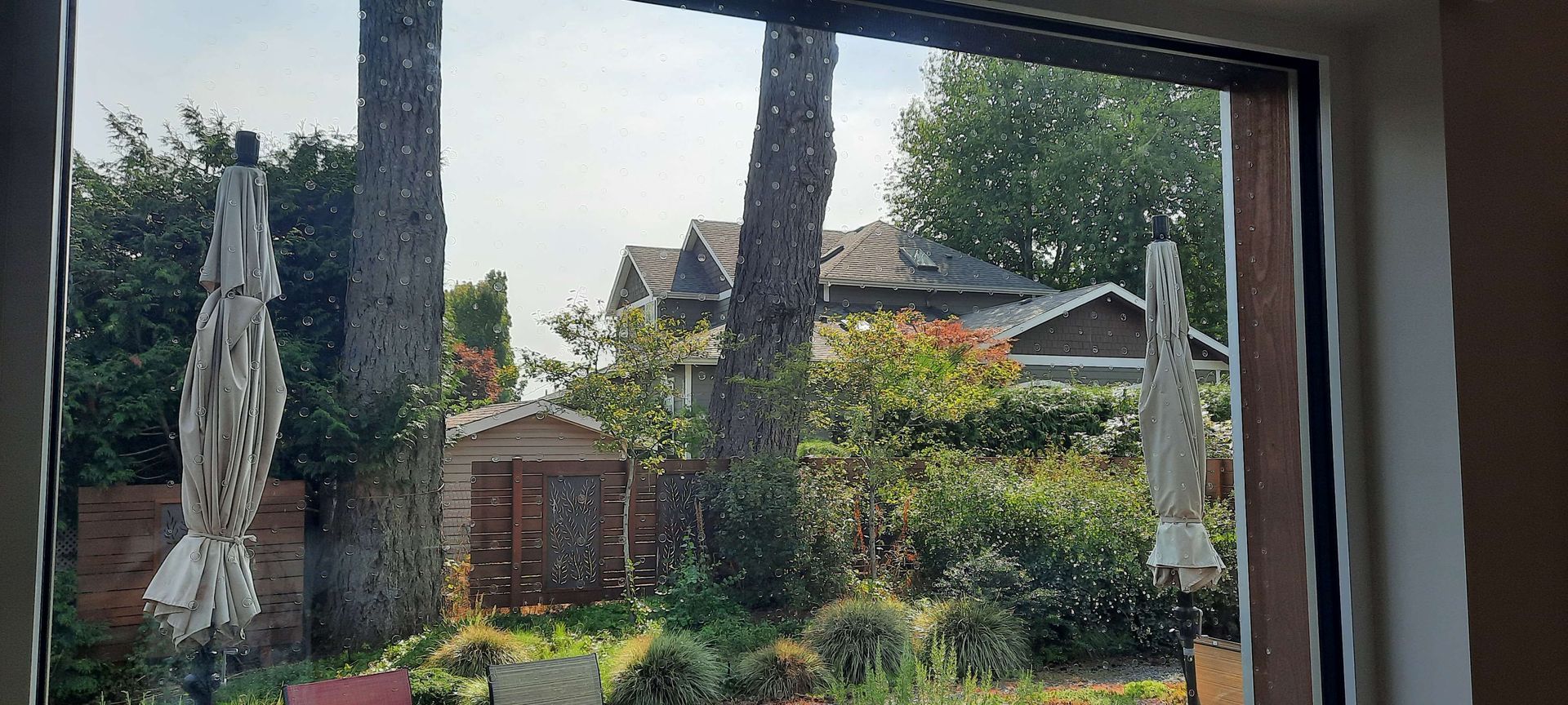 A view through a window showing a garden with two closed patio umbrellas, mature trees, a small shed, and a house.