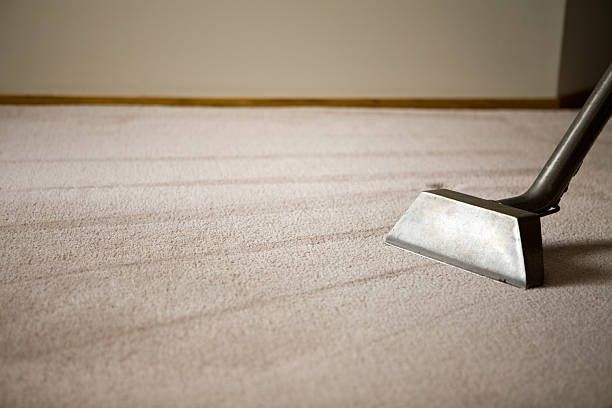A vacuum cleaner is cleaning a carpet in a room.