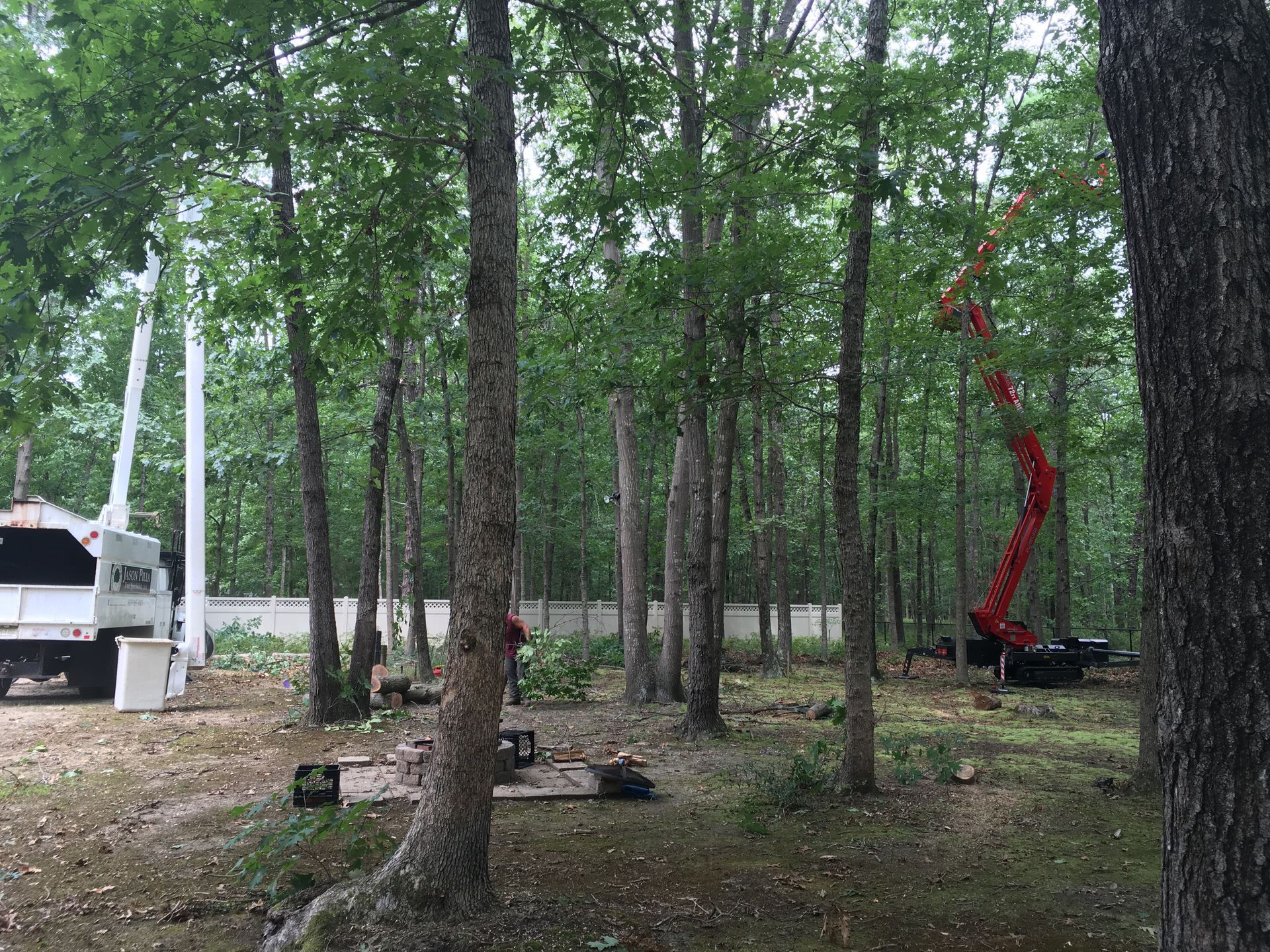 Tree removal in progress with truck and crane, trees surround.