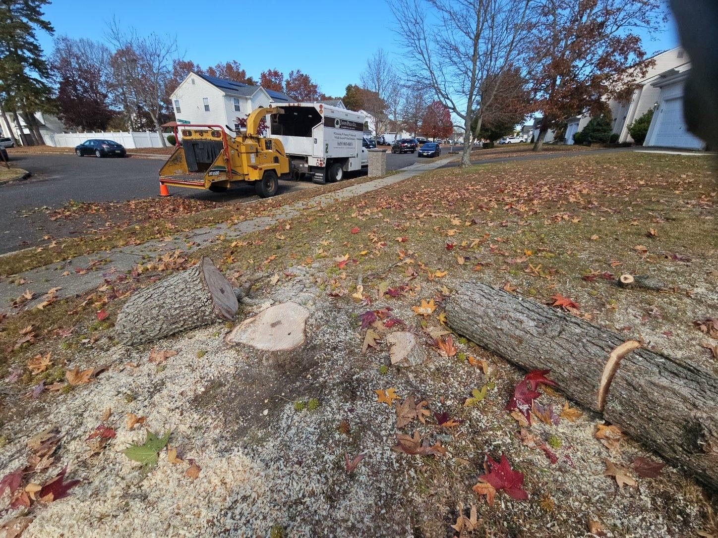 Tree removal in progress: wood chipper, debris, logs, street, residential area, autumn leaves.
