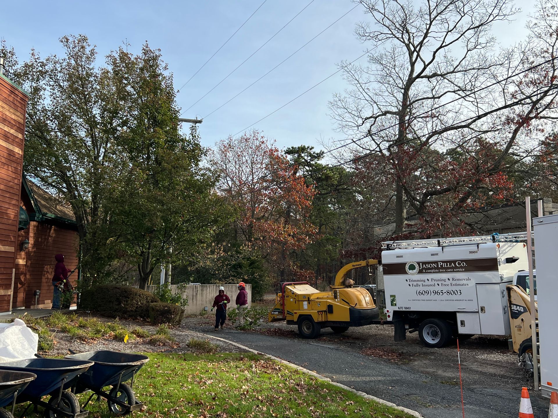 Tree removal crew working. A chipper truck and workers in front of a building with fall foliage.