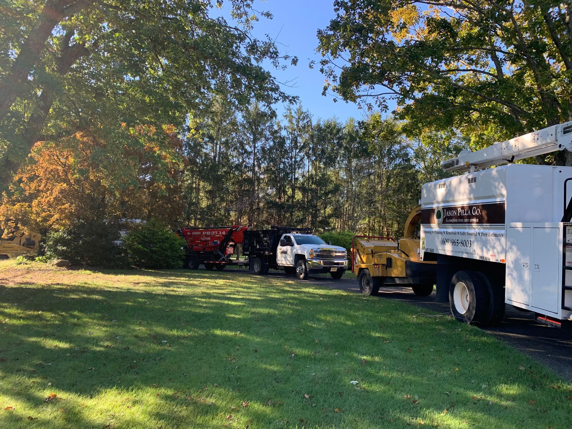 Tree removal equipment on a grassy lawn: truck, chipper, trailer, and pickup truck under trees.