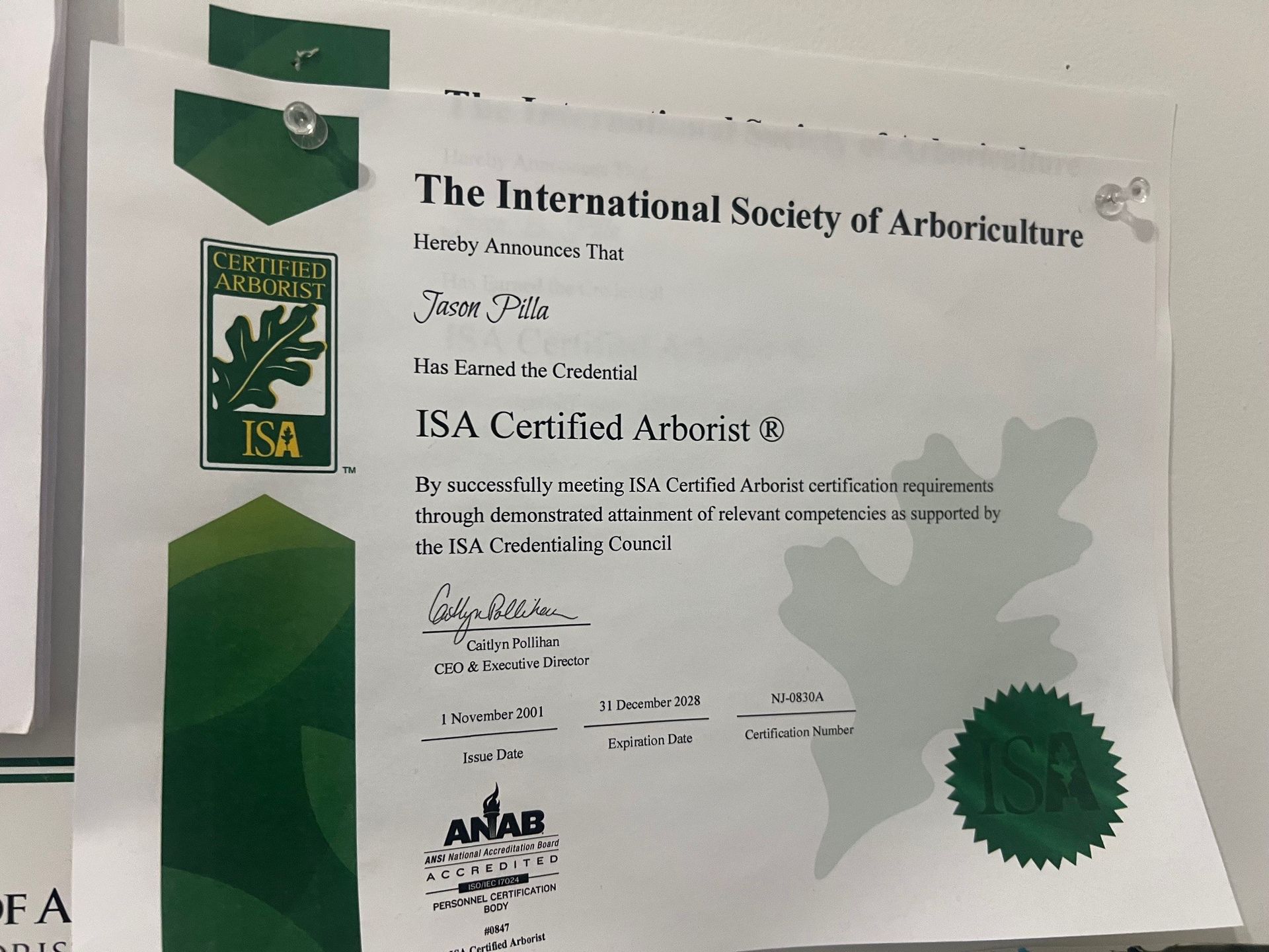 ISA Certified Arborist certificate pinned to a white wall.