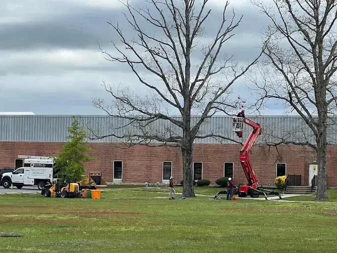 Tree trimming: Red lift truck with worker near a brick building. Truck and other equipment on green grass. Overcast sky.