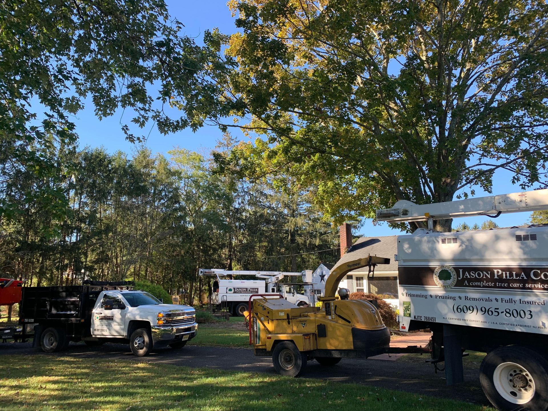 Tree removal equipment, including trucks and a chipper, on a residential lawn, under a large tree.