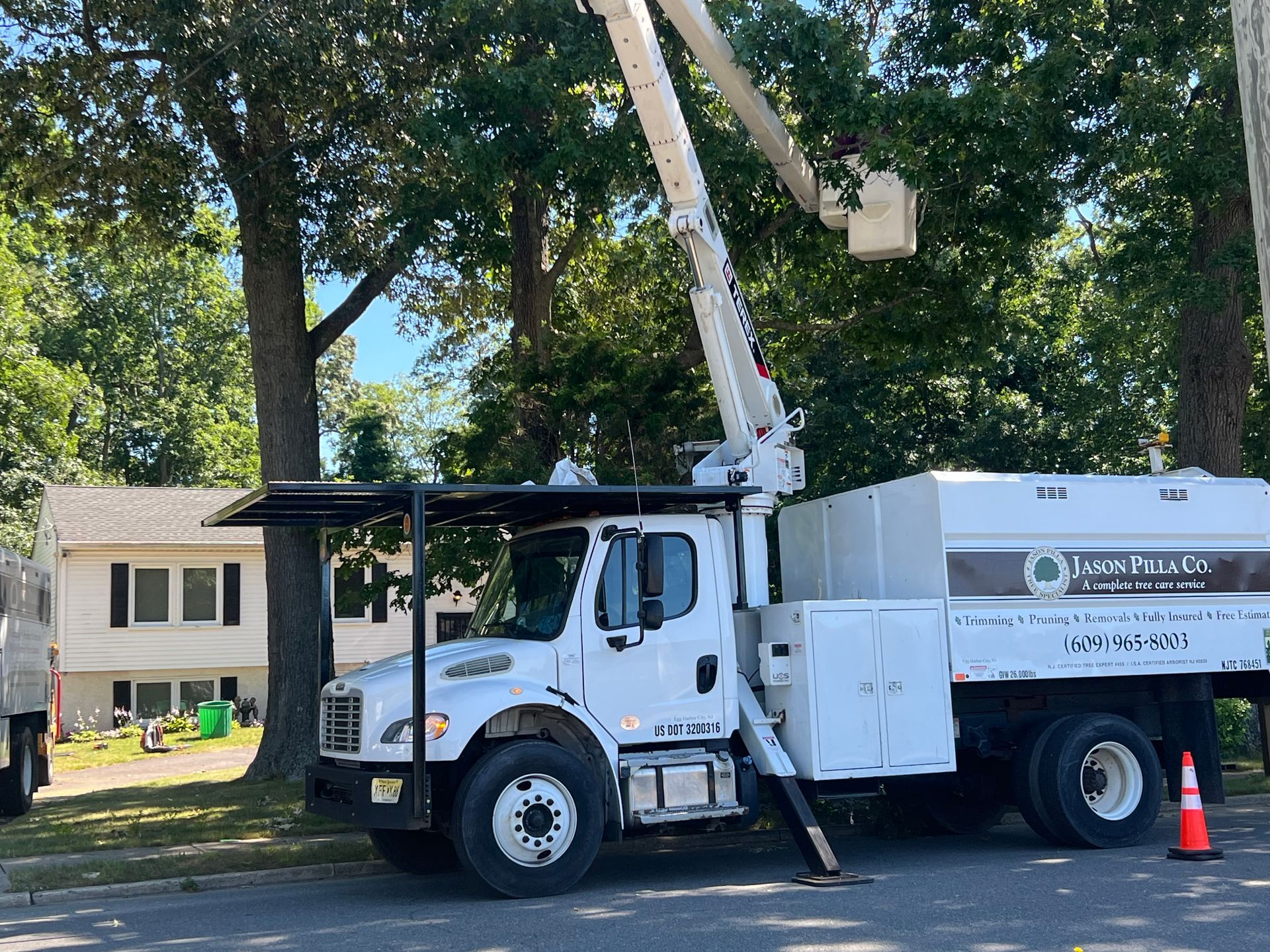 A white tree service truck with a lift trimming a tree in front of a house on a sunny day.