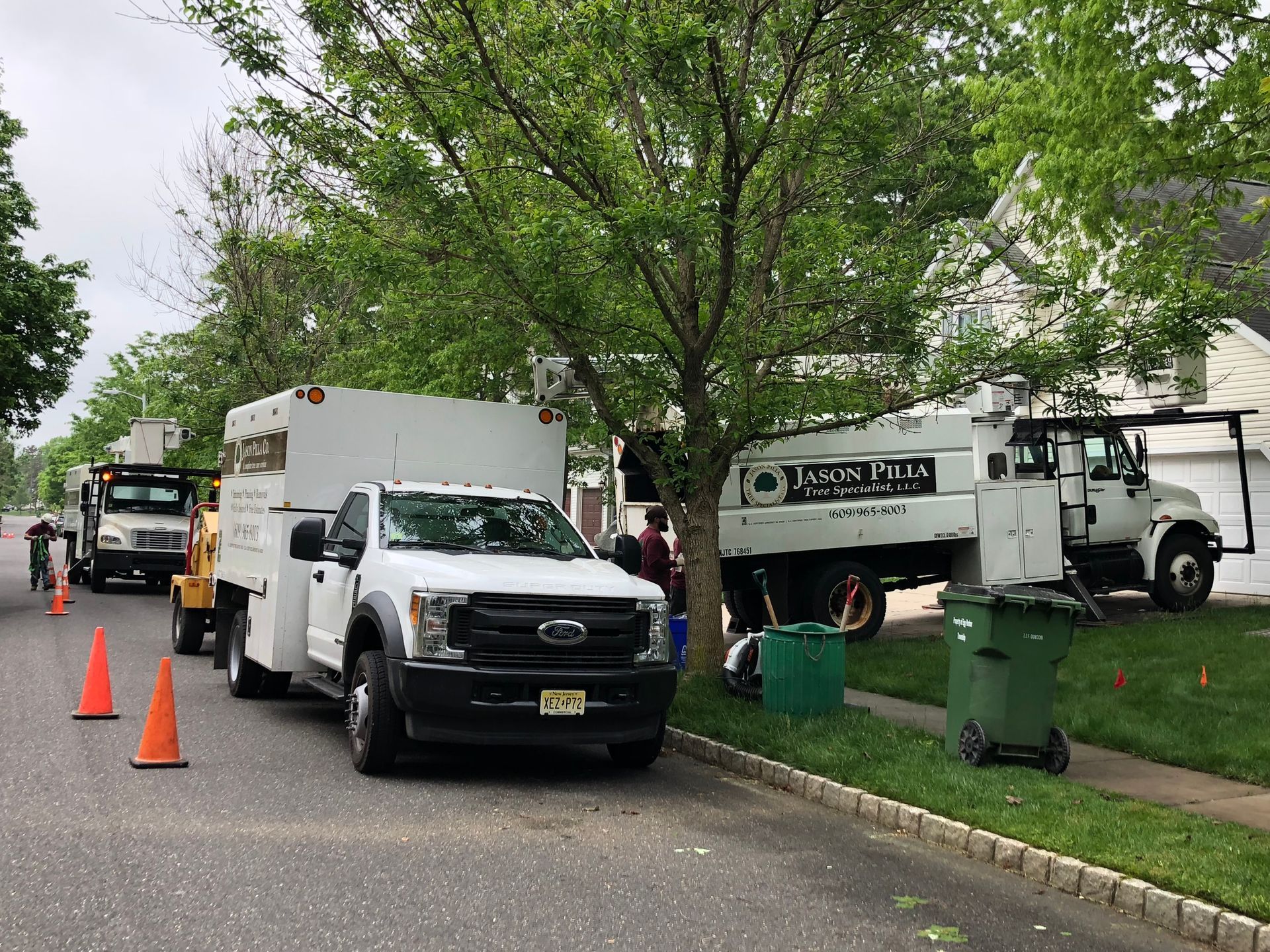 Tree trimming trucks parked on a street; crew working on a tree with green leaves and a house in the background.