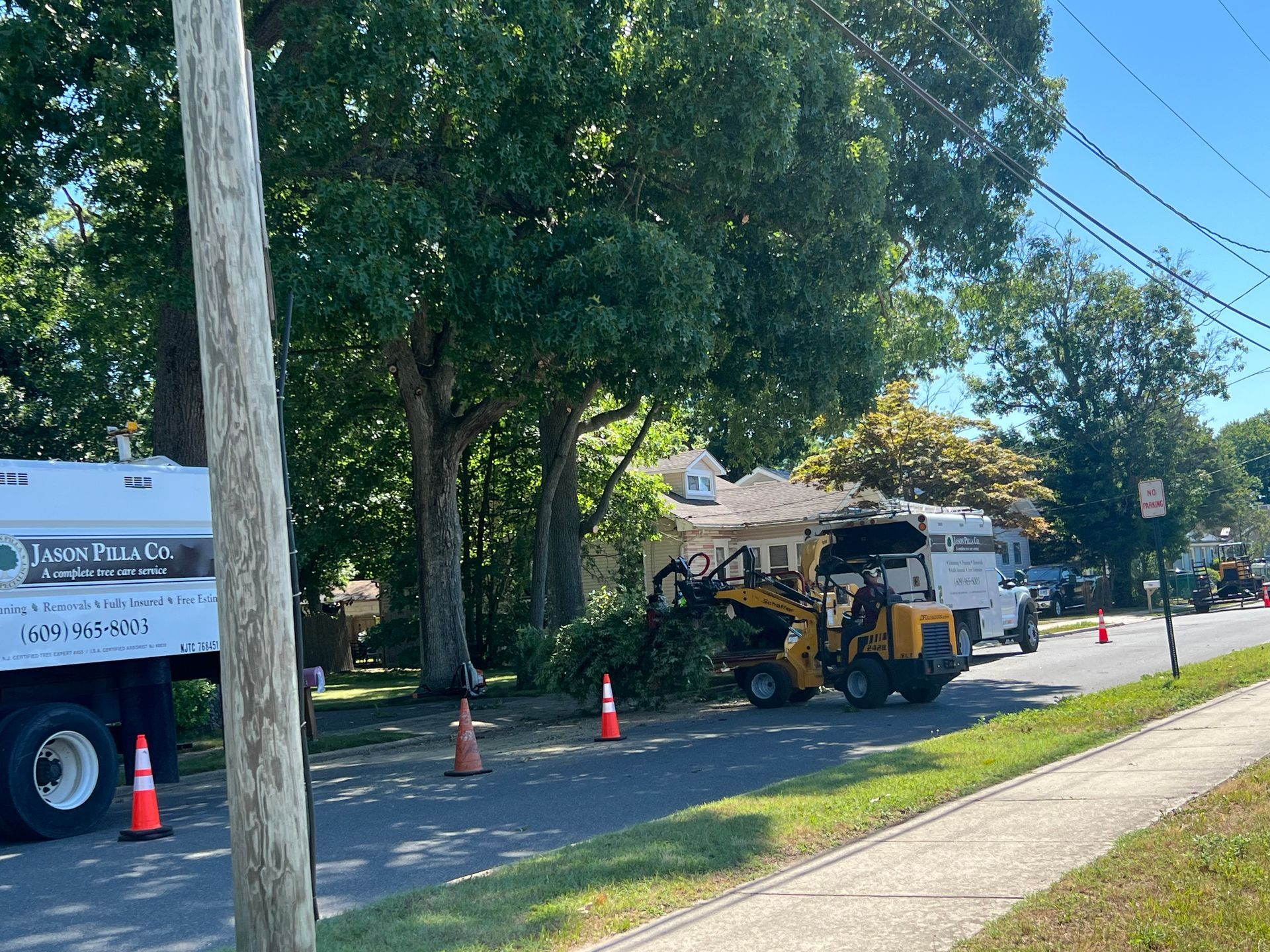 Tree removal equipment and crew on residential street.