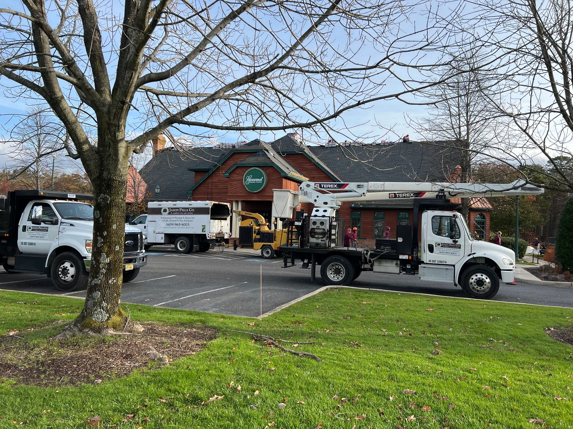 Tree removal trucks parked near a building, one with an extended arm, another with a wood chipper. Green grass and bare tree in foreground.