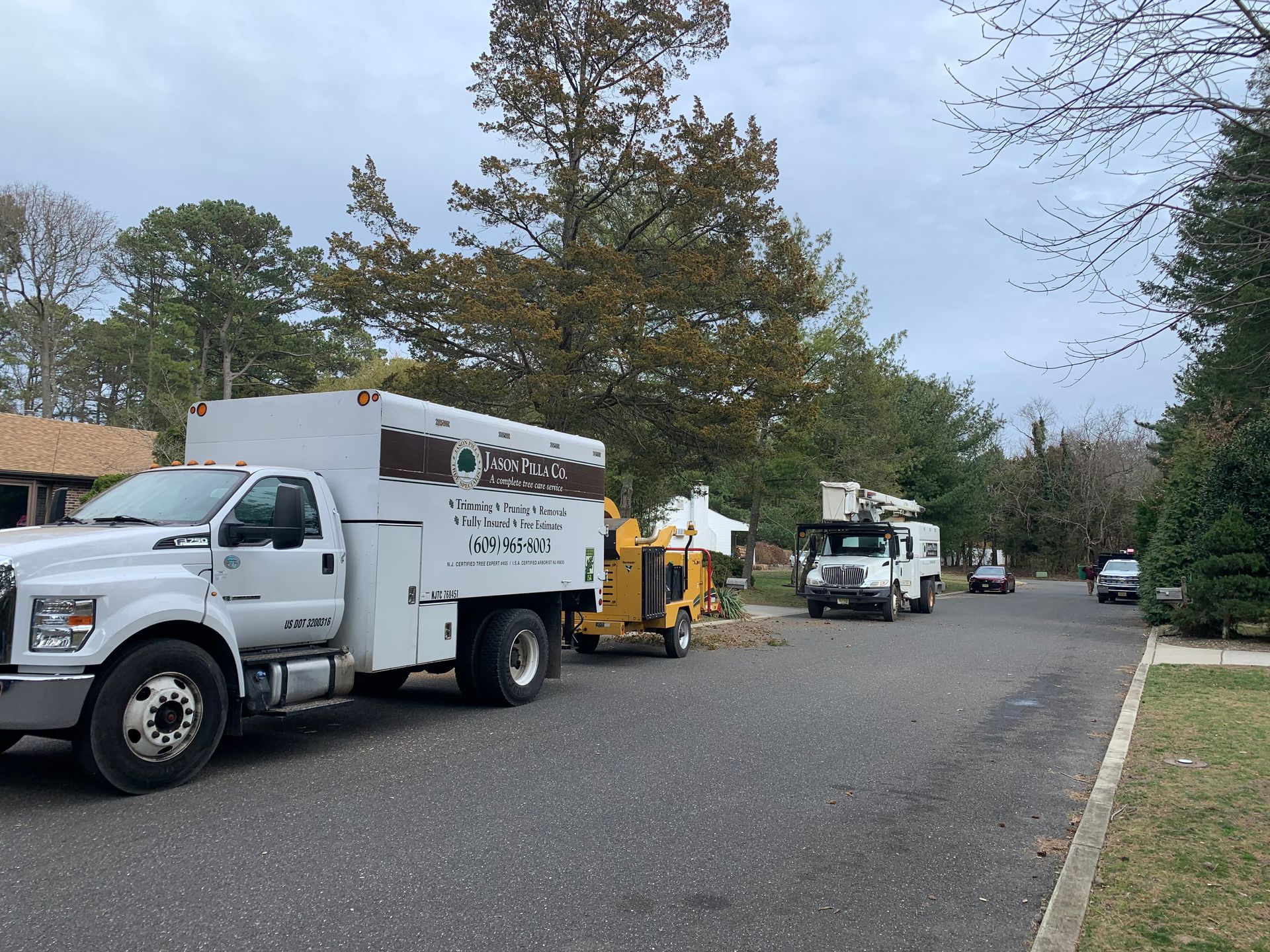 White work trucks parked on a residential street; tree removal equipment visible.