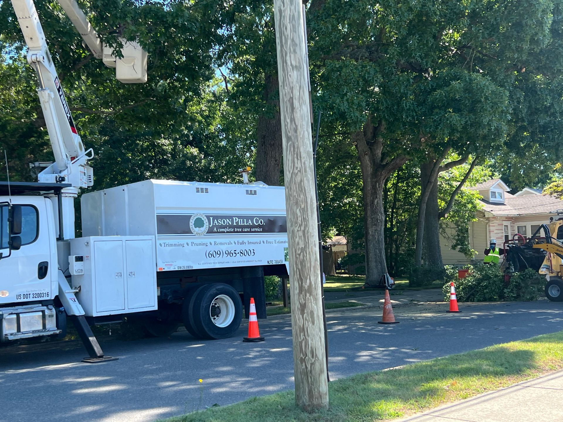 White truck with a bucket lift trimming a tree in front of a house, orange cones on the street.