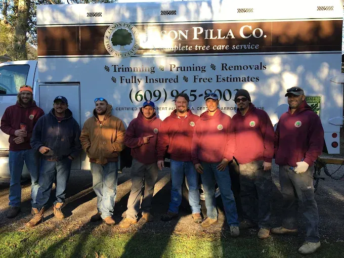 jason-pilla-tree-specialist