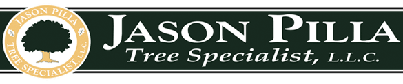jason-pilla-tree-specialist - logo