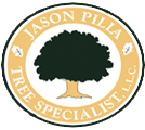 jason-pilla-tree-specialist