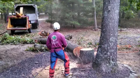jason-pilla-tree-specialist