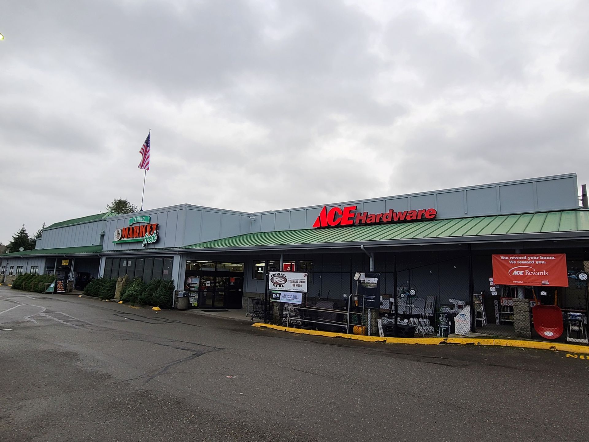 Ace Hardware store with red sign, American flag, and outdoor display under a green awning. Cloudy sky.