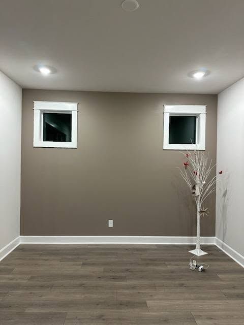 Room with brown accent wall, white trim, two windows, and wood-look flooring. A decorative tree stands on the right.