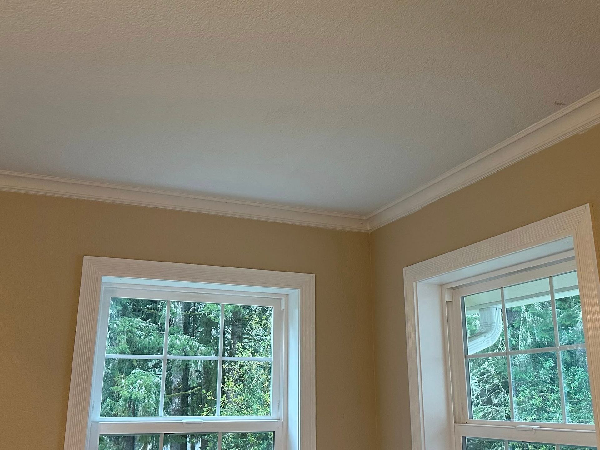 Corner of a room with two windows, crown molding, and tan walls with a white ceiling.