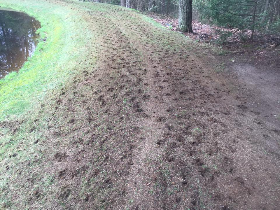 Aeration