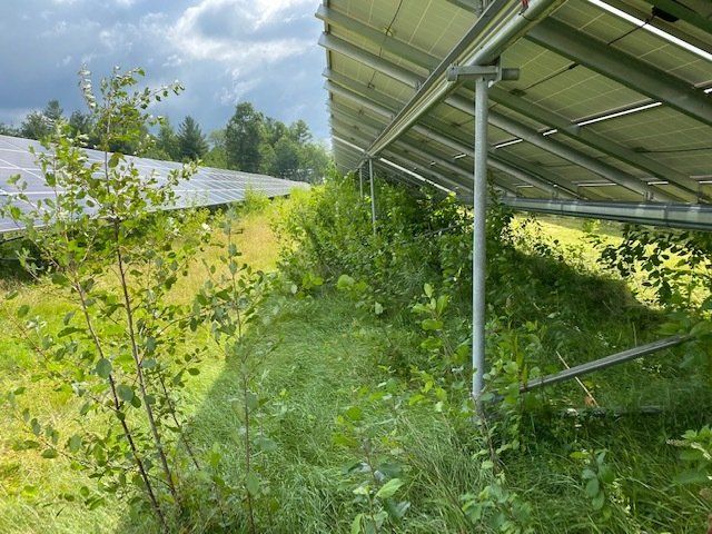 Solar Field Mowing Services