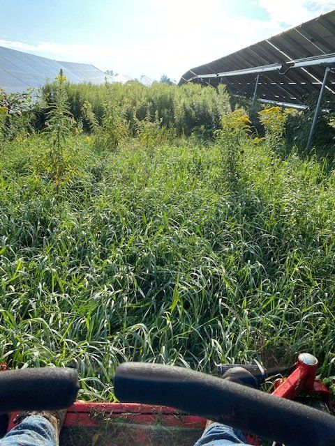 Solar Field Mowing Services