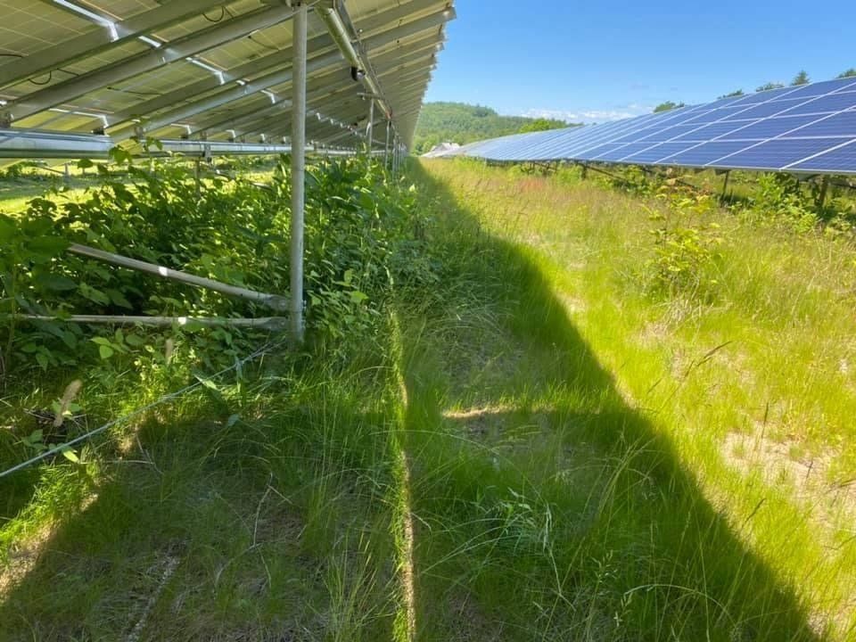 Solar Field Mowing Services