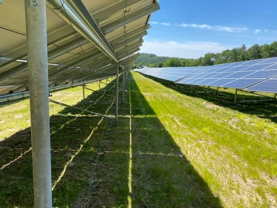 Solar Field Mowing Services