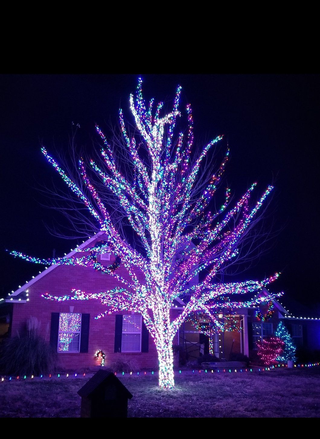 Holiday Light Installation Christmas Lights Oklahoma City, OK