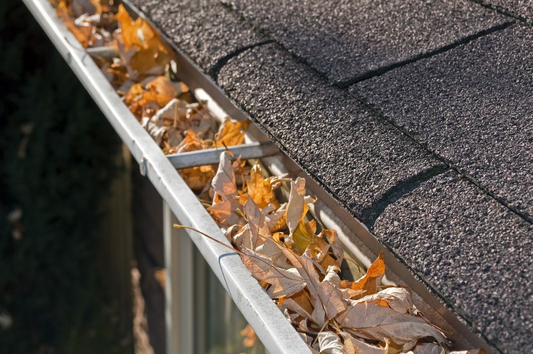 Gutter Services