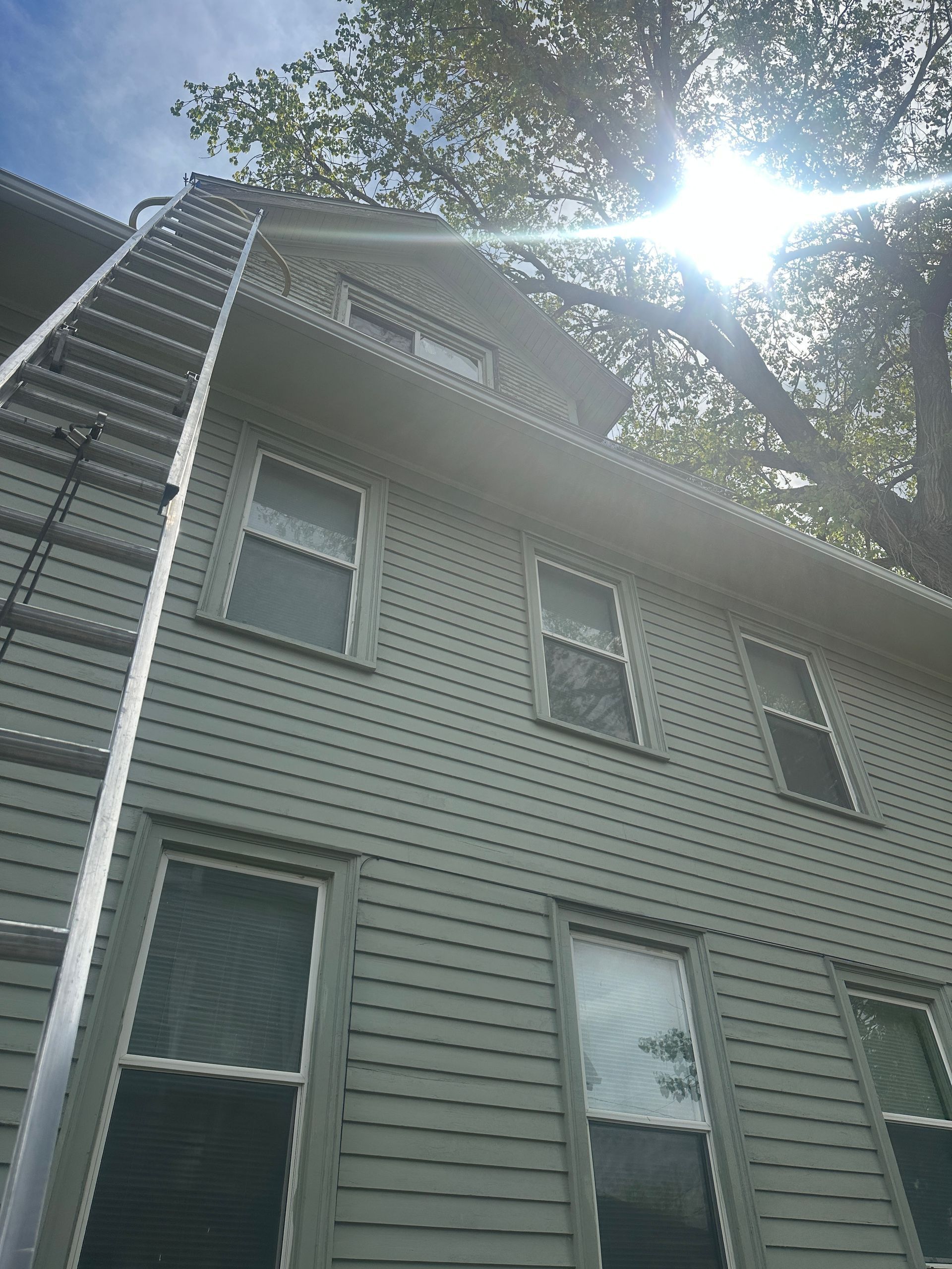 A tall metal ladder leans against the side of a grey, multi-story house beneath a bright sun shining through tree leaves.