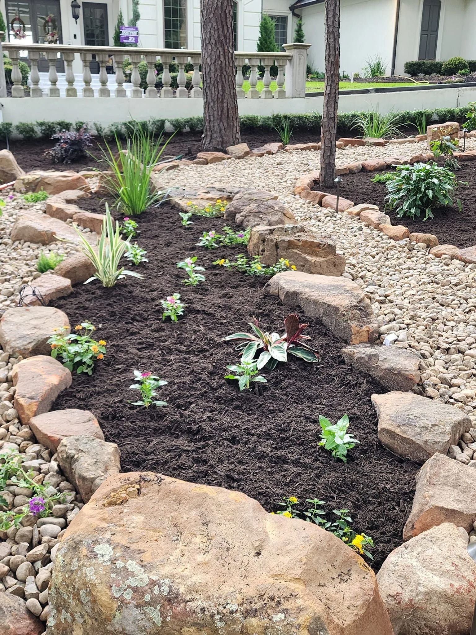 Garden bed with rocks and dark soil, small plants, and trees; white building in the background.