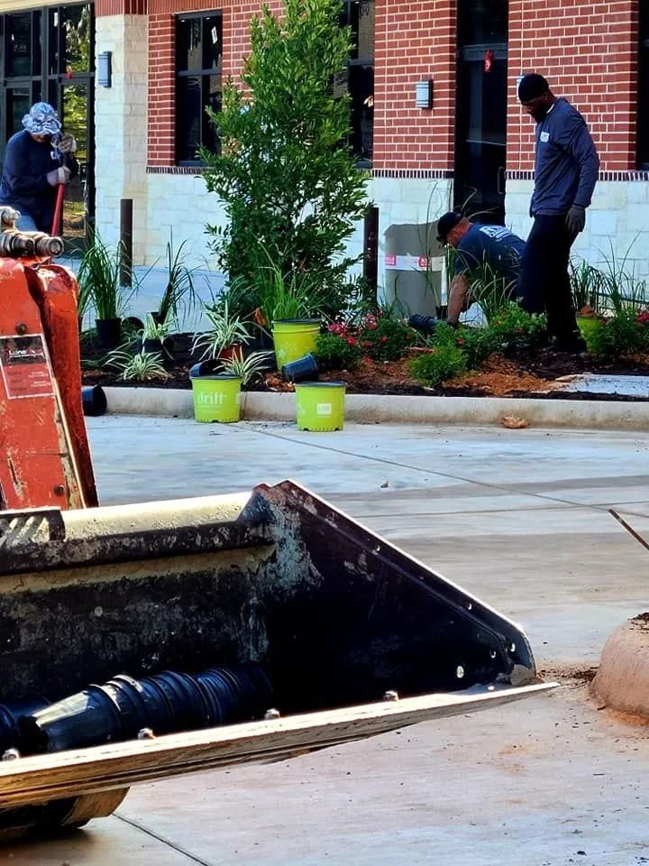 Construction workers planting shrubs near a brick building; an orange front-end loader is in the foreground.