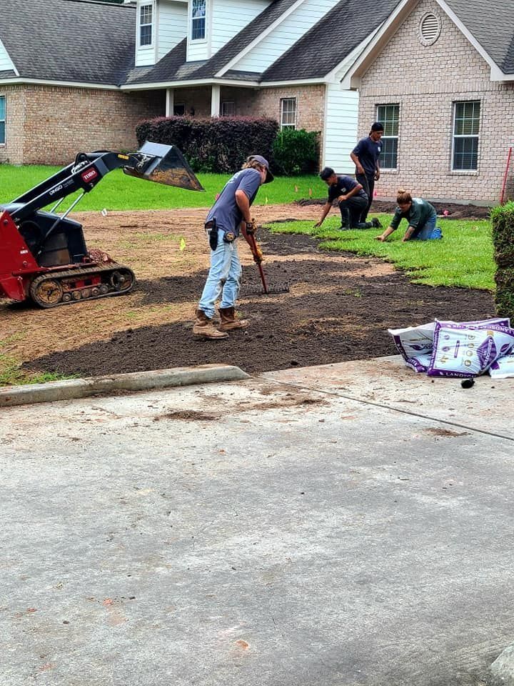 Workers laying sod in a yard, using a small track loader and hand tools.
