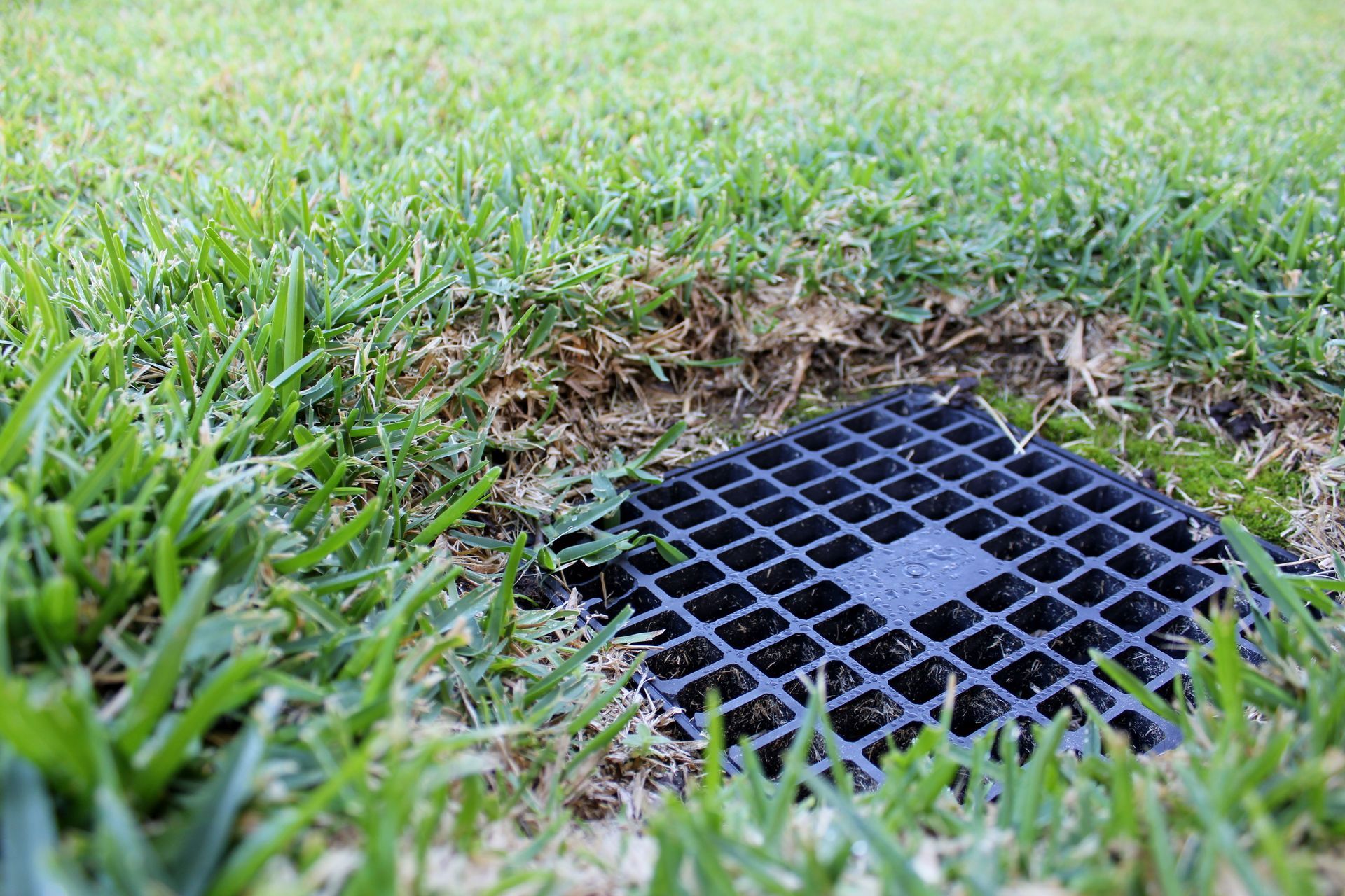 local lawn drainage services