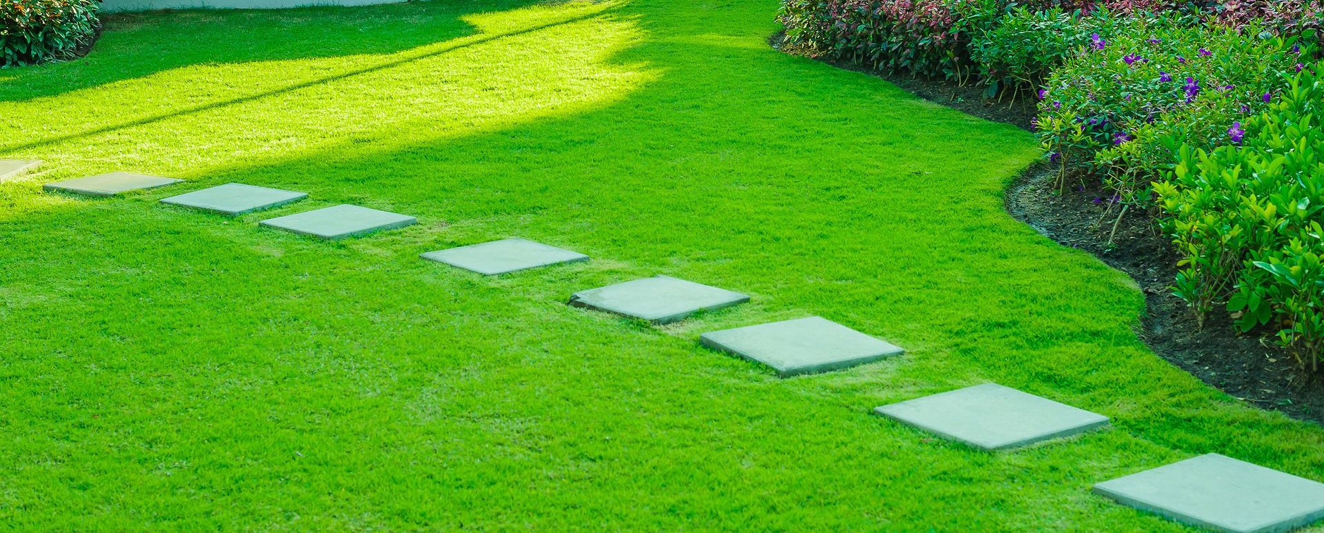 Lush green lawn with a stepping stone path, bordered by plants, in bright sunlight.