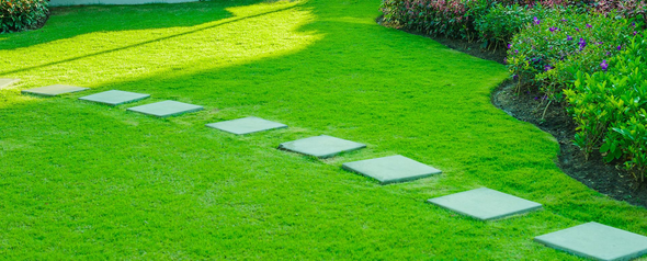 Lush green lawn with a stepping stone path, bordered by plants, in bright sunlight.