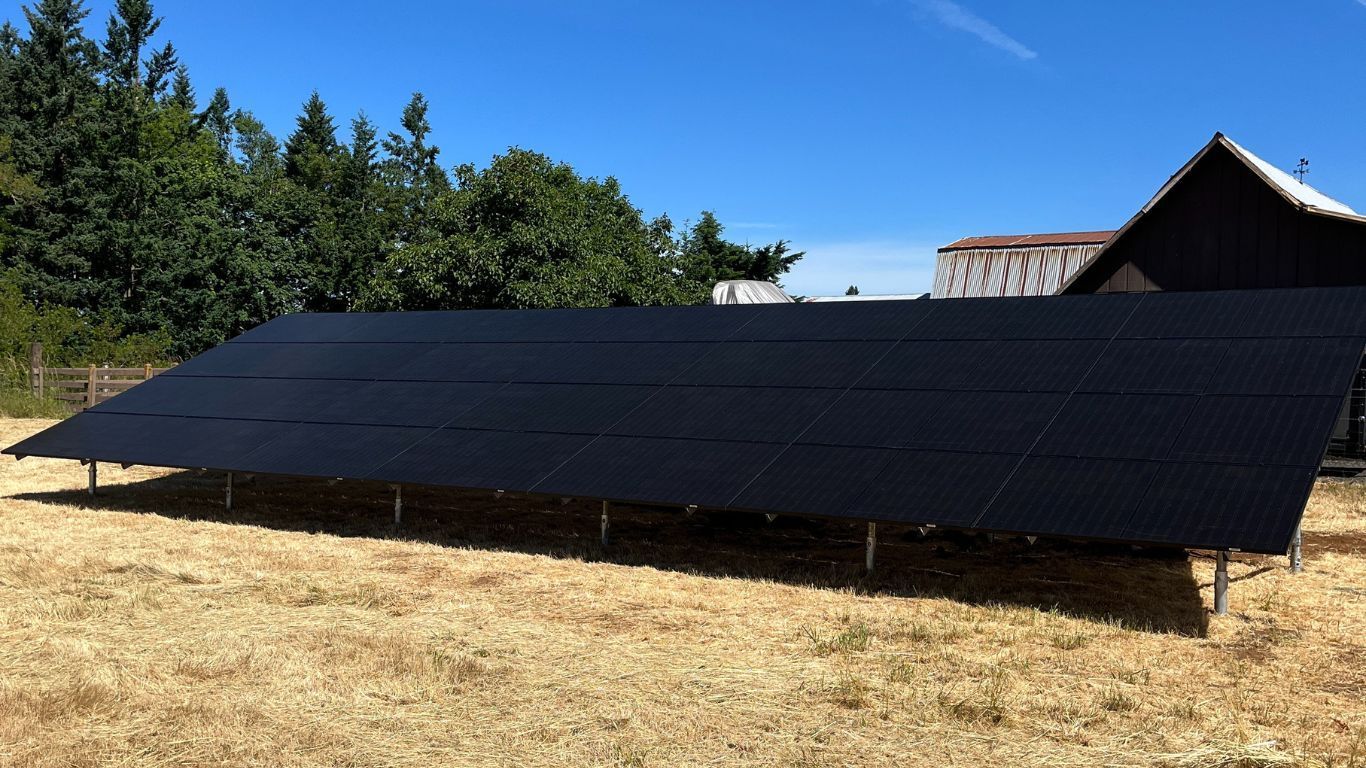 Solar panels installed in a field with trees and a building in the background. Bright blue sky.