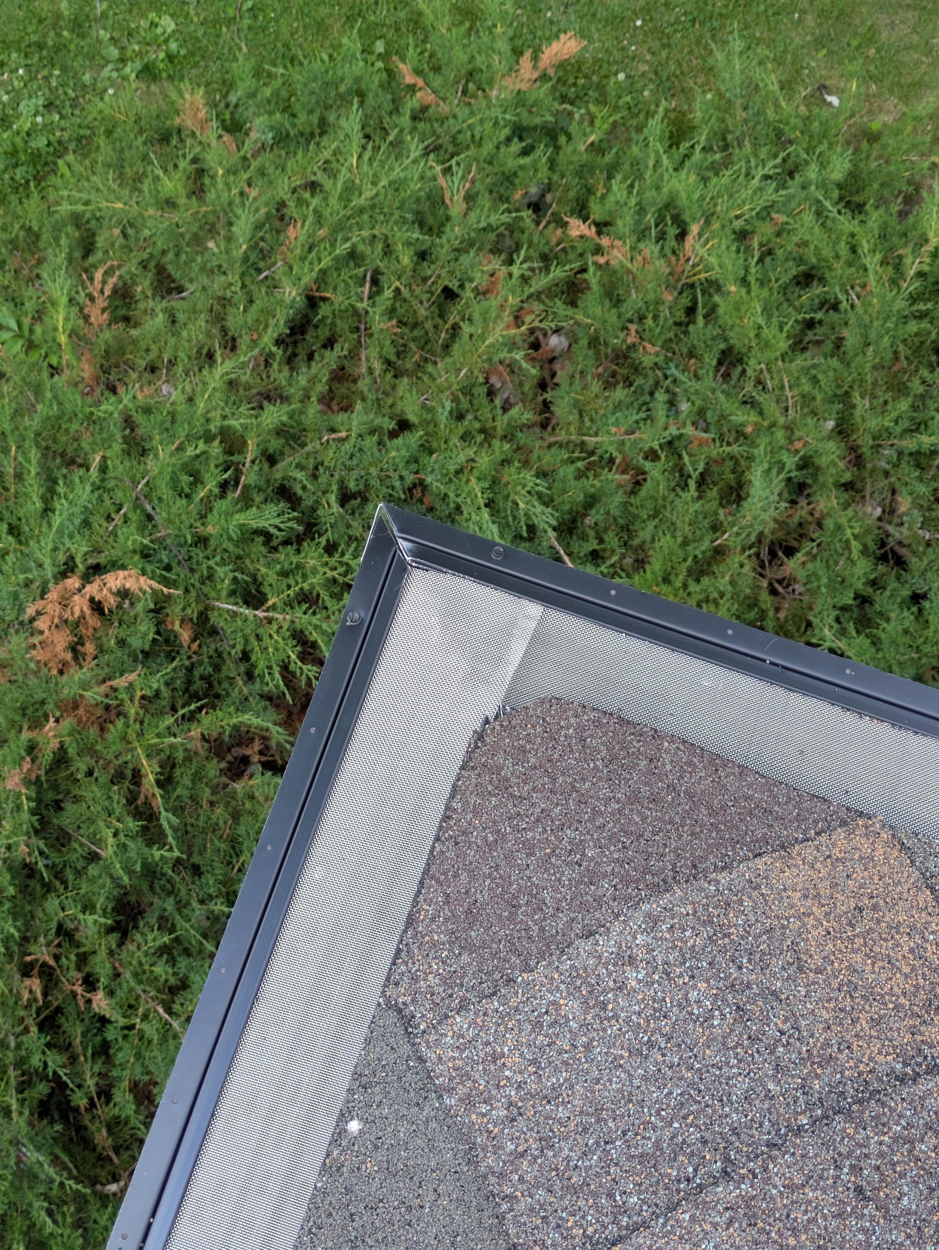 A picture frame is sitting in the grass next to a bush.