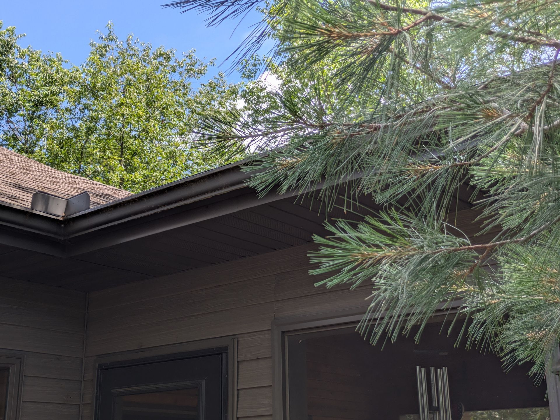 A house with a pine tree in front of it.