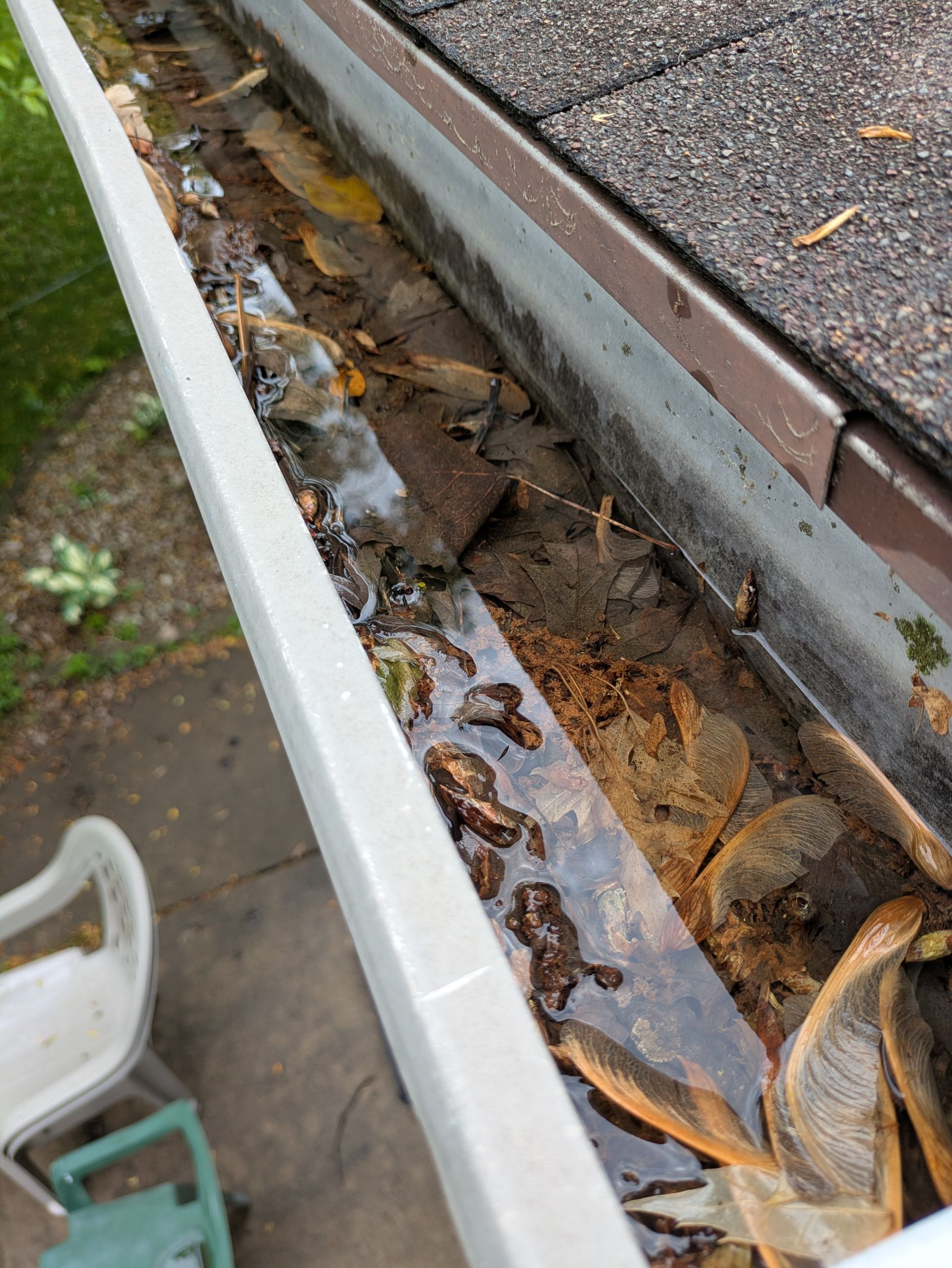 A gutter filled with water and leaves on a roof.