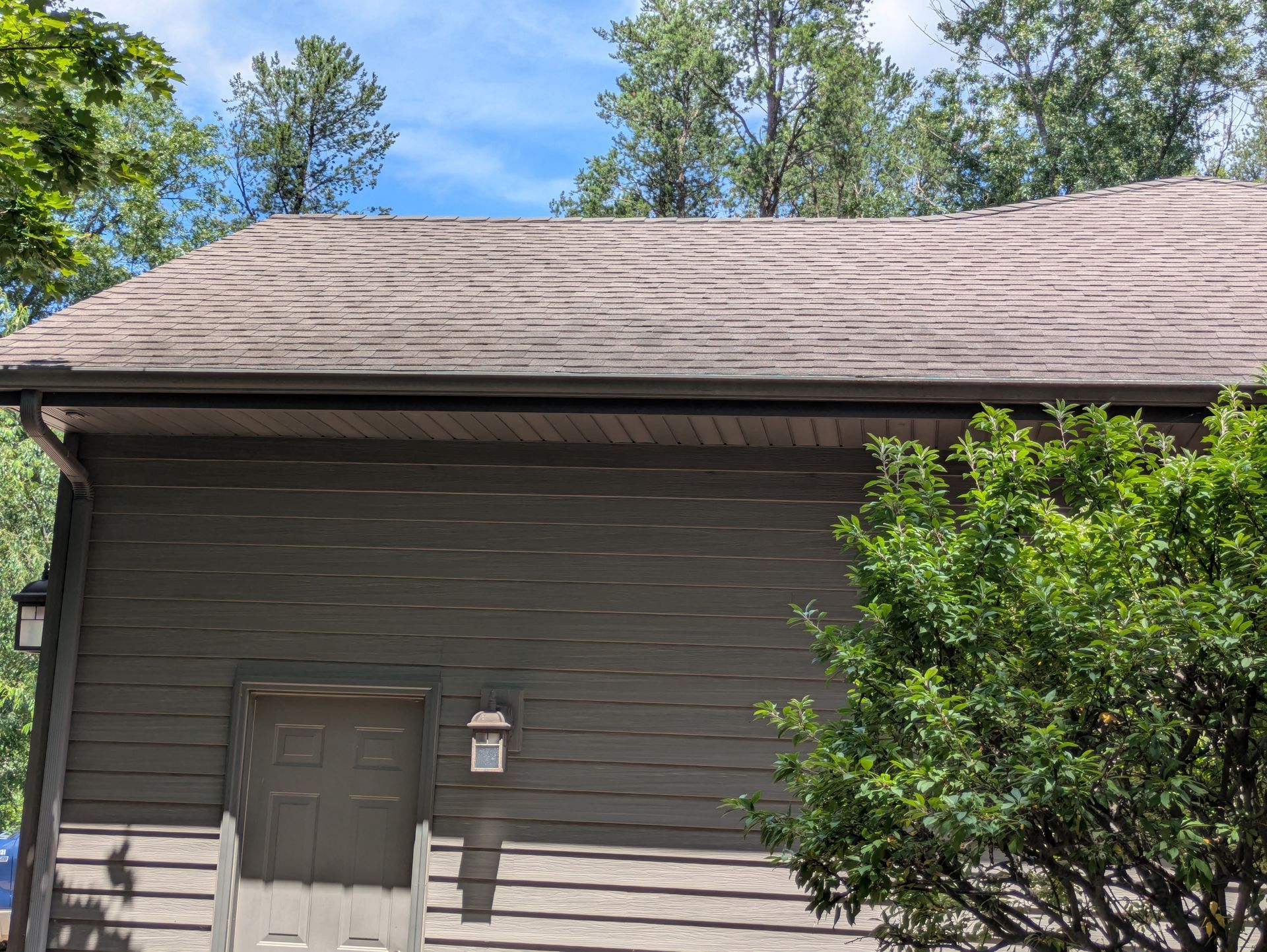 A house with a roof and a door is surrounded by trees on a sunny day.