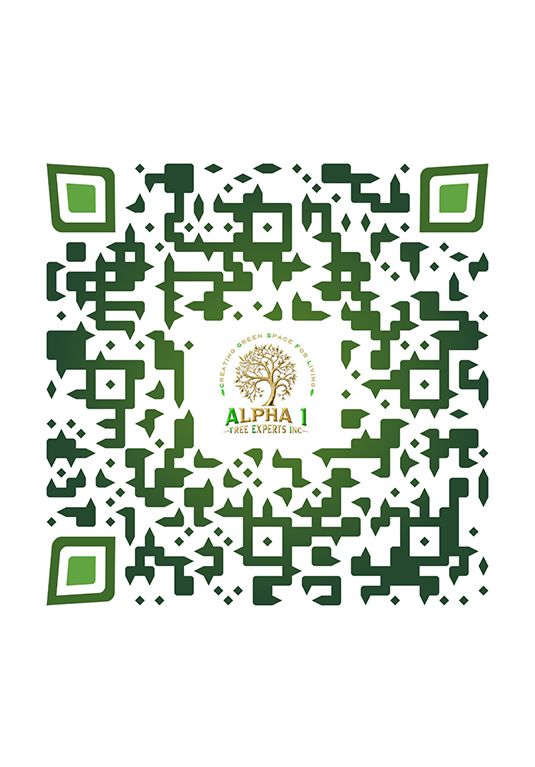 A QR code with a tree on it is on a white background.