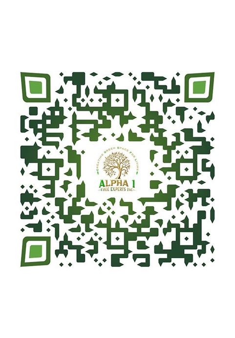 A QR code with a tree on it is on a white background.