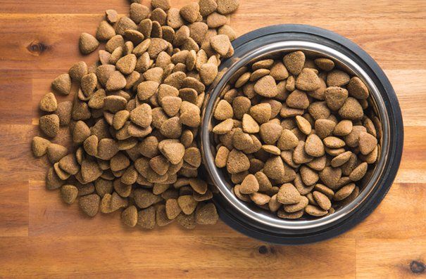 Pet food