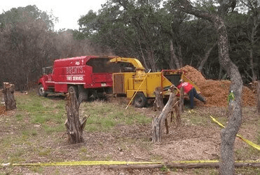 Red truck and yellow wood chipper in wooded area, man working with wood chips.