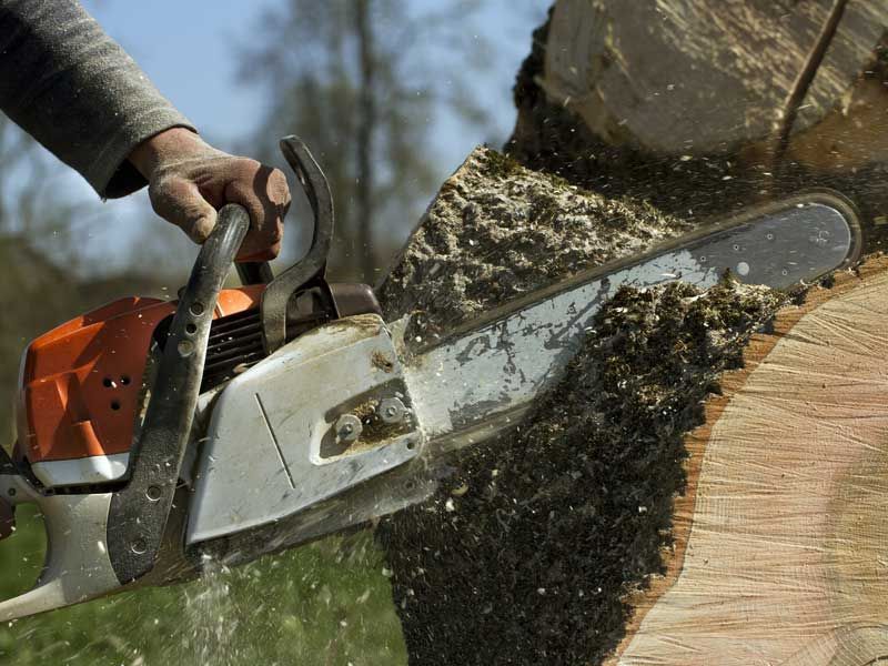 Person using a chainsaw to cut a log, wood shavings flying.