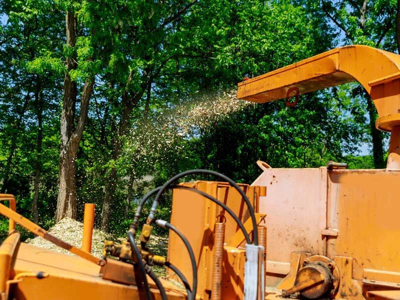 Orange wood chipper spewing wood chips into the air; trees in the background.